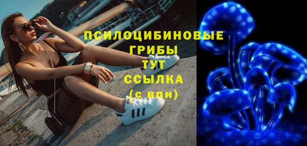 первитин Абинск