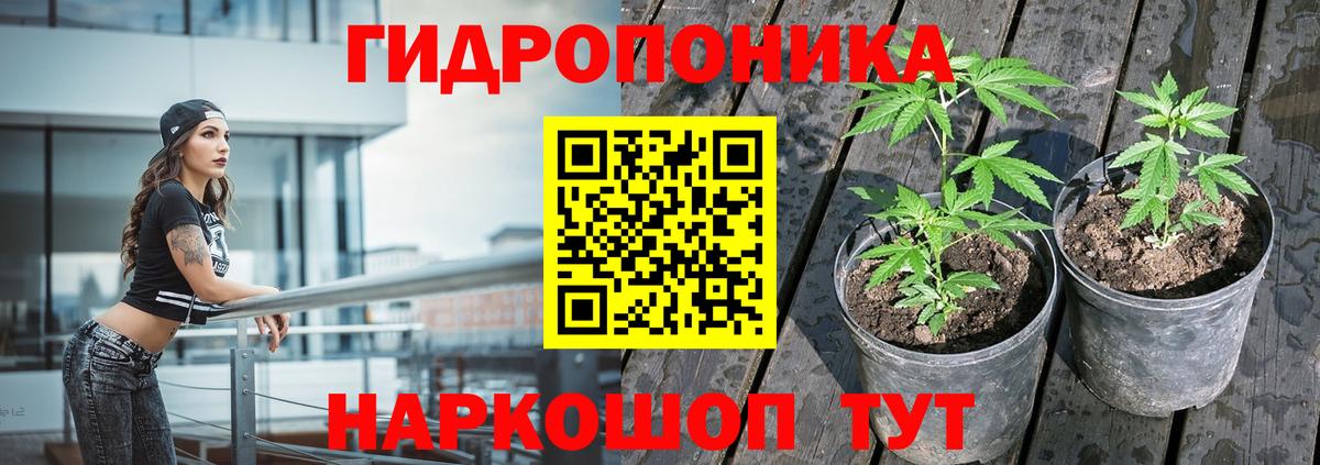 Лиски  Каннабис семена  Конопля индика  Вход с VPN 